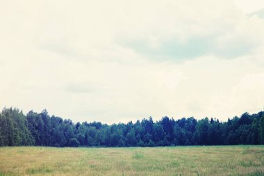 Bulutlu gökyüzü manzarası Pastel renkler