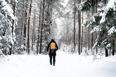 Kış manzarası yürüyüşü. Sırt çantalı bir adam kışın seyahat eder. Karlı tarlada bir adam.