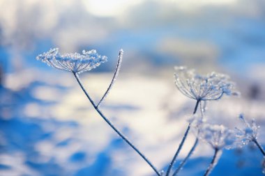 Kış manzarası. Peri masalı gibi karla kaplı sokaklar. Turistik bölgelerde kar yağışı ve serinleme.