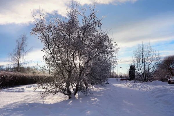 Winterlandschap Sprookjesachtige Schoonheid Besneeuwde Straten Sneeuwval Koeling Toeristische Gebieden — Stockfoto