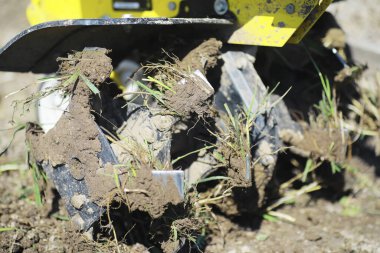 Çiftçi bir bahçe kazıyor. Elinde hasatçı olan bir adam bahçeyi sürüyor. Gri saçlı dede bahçeyi biçiyor..