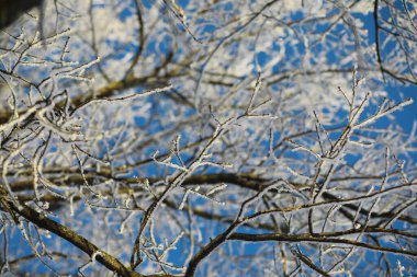 Kış manzarası. Peri masalı gibi karla kaplı sokaklar. Turistik bölgelerde kar yağışı ve serinleme.