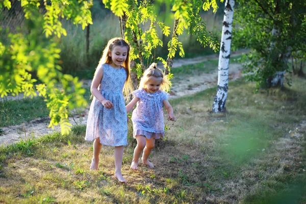 子供たちは自然の中で夏に歩く 公園で晴れた春の朝に子供 子供と旅行する — ストック写真