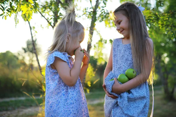 Children Walk Summer Nature Child Sunny Spring Morning Park Traveling — Stock Photo, Image