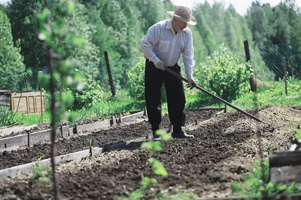 Petani Itu Sedang Menggali Kebun Taman Ini Dibajak Dengan Kemping — Stok Foto