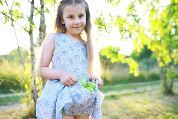 Kinderen Wandelen Zomer Natuur Kind Een Zonnige Lenteochtend Het Park — Stockfoto