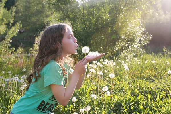 Sebuah Benih Bertiup Remaja Dari Bunga Dandelion Taman Musim Semi — Stok Foto