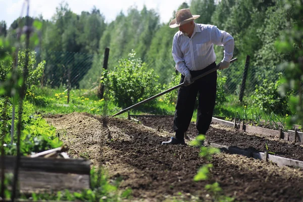 Petani Itu Sedang Menggali Kebun Seorang Pria Dengan Pemanen Membajak — Stok Foto