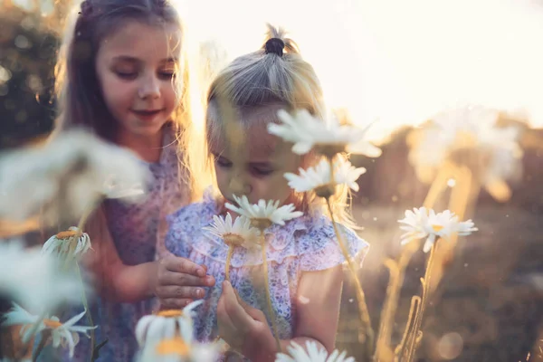 Gyerekek Nyáron Sétálnak Természetben Gyermek Egy Napos Tavaszi Reggelen Parkban — Stock Fotó