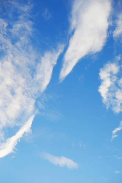 Nubes Altas Cielo Verano Fondo Del Cielo Observaciones Meteorológicas Del — Foto de Stock