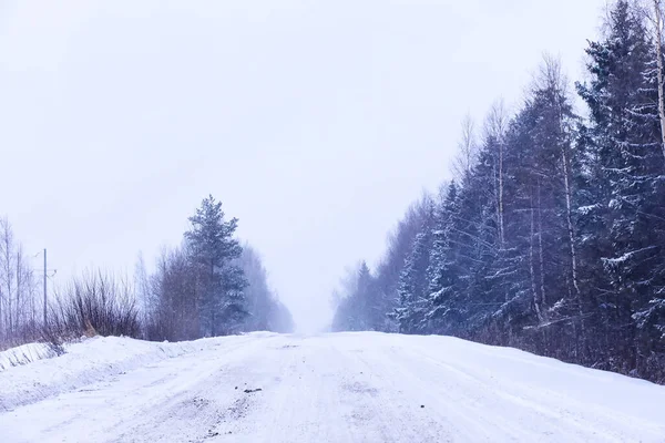 冬の雪の霜の風景 森は雪に覆われている 公園の霜と霧 — ストック写真