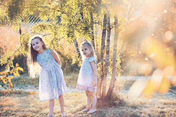 Kinder Wandern Sommer Der Natur Kind Einem Sonnigen Frühlingsmorgen Park — Stockfoto