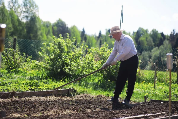 Petani Itu Sedang Menggali Kebun Seorang Pria Dengan Pemanen Membajak — Stok Foto