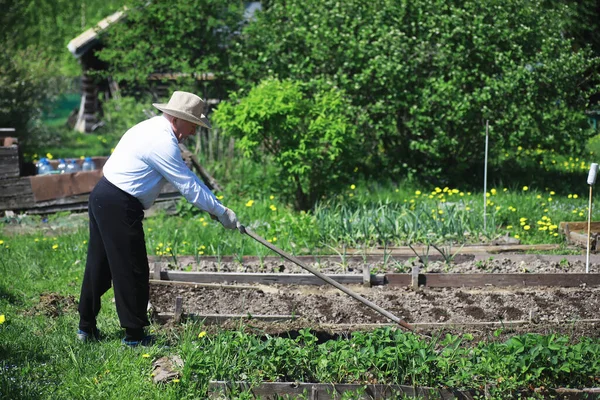 Granjero Está Cavando Jardín Hombre Con Cosechadora Arada Jardín Abuelo — Foto de Stock