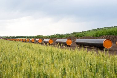 Doğal gaz için bir ara bağlantı kurulması. Çeşitlendirme