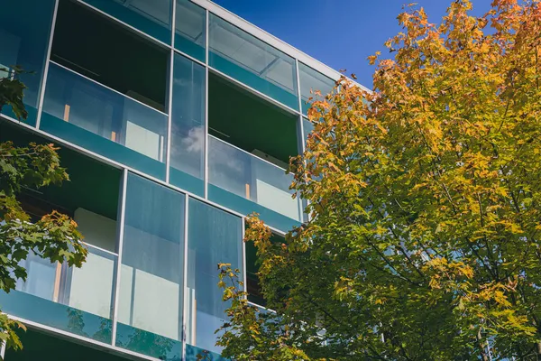 Moderne Glasfassade Eines Hotels Umgeben Von Gelben Bäumen Herbst — Stockfoto
