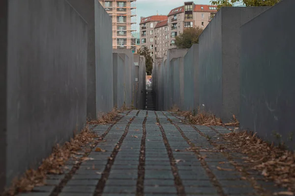 Monumento Judío Berlín Bloques Hormigón Que Asemejan Tumbas Colocadas Gran — Foto de Stock