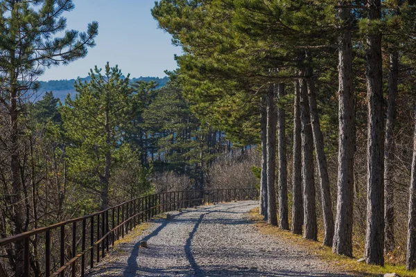 Vistas Antiga Linha Trem Entre Trieste Kozina Acima Vale Glinscica — Fotografia de Stock