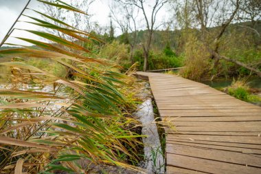 Hırvatistan 'daki Krka şelaleleri ulusal parkındaki Skradinski buk' ta tahta patika. Bir yol ve biraz yeşillik görünümü.