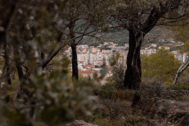 Makarska şehrinin evleri yakındaki bir tepedeki yaprakların arasından görülür..