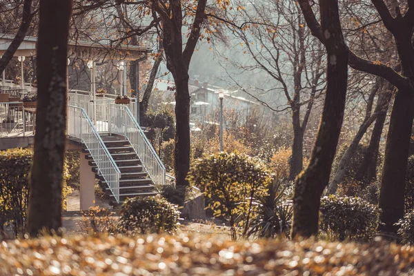 Lonely Stairs Leading Restaurant Terrace Beautiful Setting Autumn Winter Looking — Foto Stock