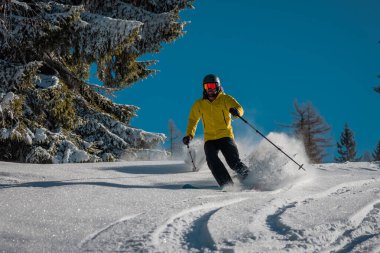 Young person is skiing on a fresh snow powder surface on a sunny day between the trees. Frontal view of a skier rushing down the slope.