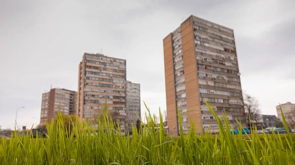 Grünes Gras Erhebt Sich Vor Den Wolkenkratzern Stadtzentrum Von Kragujevac — Stockfoto