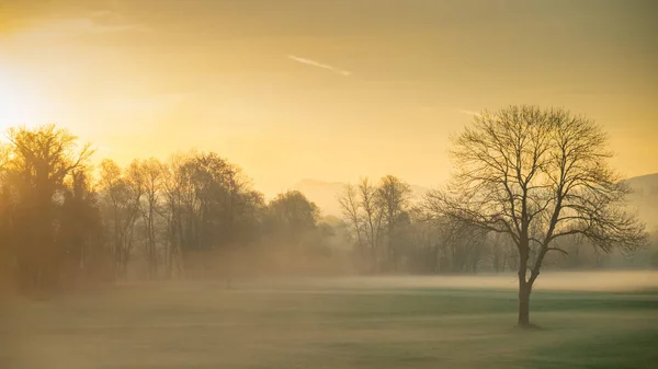 Matin Romantique Brumeux Sur Les Champs Ouverts Lever Soleil Des — Photo