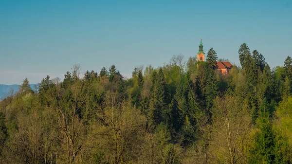 Панорама Пагорба Рознік Маленькою Червоною Церквою Ховається Деревами Світанку — стокове фото