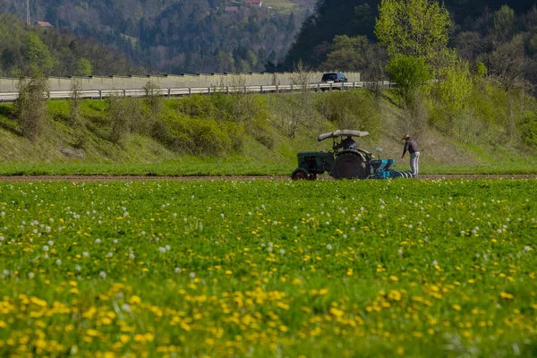 Traktor Pflügt Auf Einem Feld Mit Gras Und Blumen Vordergrund — Stockfoto