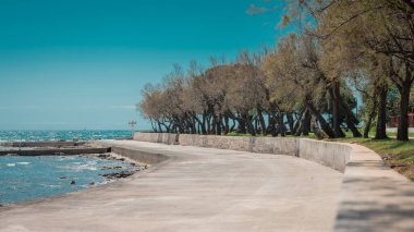 Yaz güneşinin erken saatlerinde sahilde ağaçlar ve küçük dalgaların aktığı beton plaj. Hırvat İstria 'nın Novigrad kentindeki plaj.