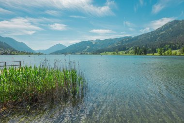 Avusturya 'da Weissensee gölünün güzel kıyıları, yazın sıcağında alp gölü olan güzel bir zemin. Kristal berrak su detayları.
