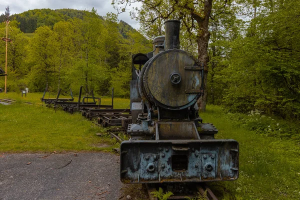 Waldbahn Reichraming Stara Kolejka Wąskotorowa Muzeum Niedaleko Reichraming Austria Widok — Zdjęcie stockowe