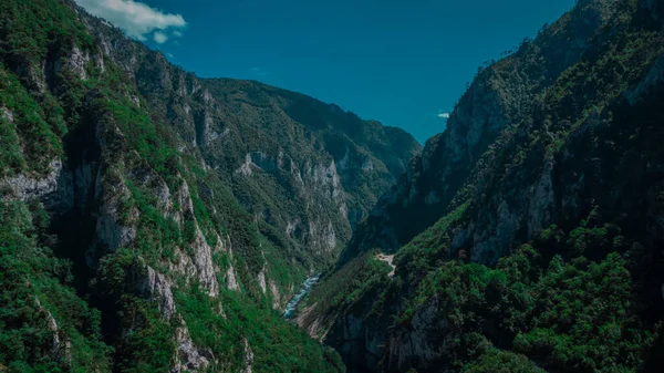 Stretta Gola Del Canyon Del Fiume Piva Vicino Ponte Stradale — Foto Stock