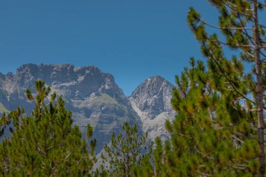 Arnavutluk 'un kuzeyindeki Valbona vadisinde ağaçlar, köknar ve kayalık dağ manzaralarının yer aldığı farklı dağ tepelerinin manzarası..