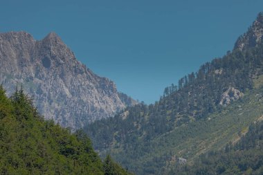 Arnavutluk 'un kuzeyindeki Valbona vadisinde ağaçlar, köknar ve kayalık dağ manzaralarının yer aldığı farklı dağ tepelerinin manzarası..