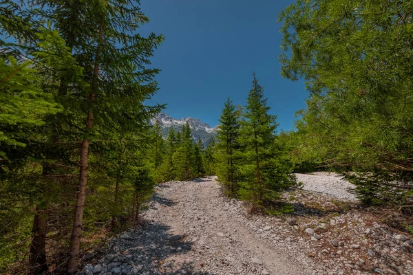 Caminhadas Que Levam Vale Valbona Até Theth Popular Ponto Caminhada — Fotografia de Stock