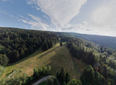 Kamyon veya karavan teçhizatlı çılgın bir kamp. Minibüs yaşam kampının dikey hava aracı görüntüsü. Vanlife tarzı, üç kamyon bir ağacın yanına park edilmiş ve kampçılar bir masanın yanında keyif çatıyor..