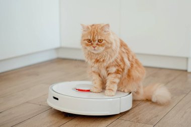 Robot elektrikli süpürge mutfakta çalışıyor. Evi temizliyorum.