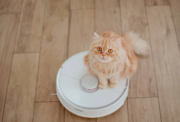 Robot elektrikli süpürge mutfakta çalışıyor. Evi temizliyorum.