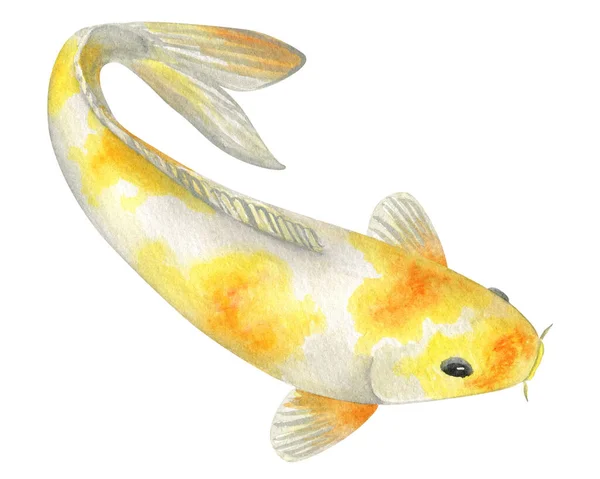 Illustration Aquarelle Carpe Koi Poisson Traditionnel Japonais Isolé Sur Fond — Photo