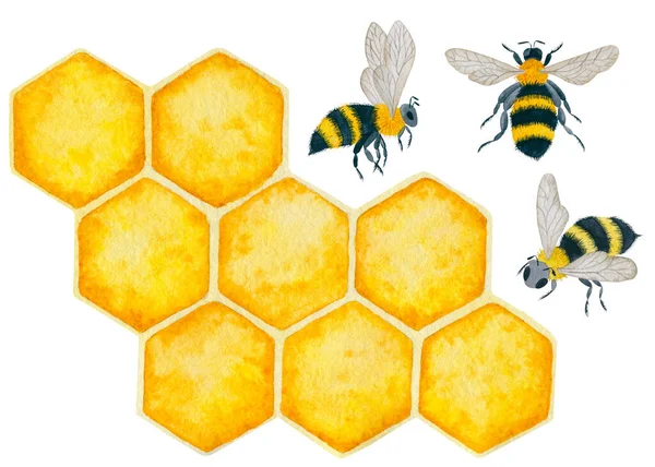 Honeycomb Och Bin Handritade Akvarell Illustration — Stockfoto