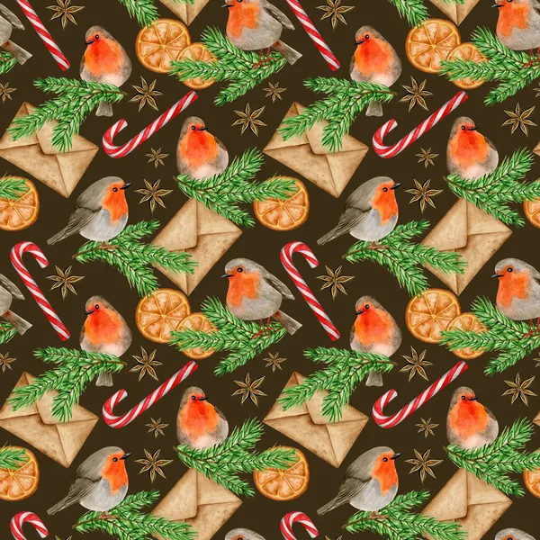 Köknar dalında Robin Bird ve Noel tatlıları. Kış suluboya kusursuz desen