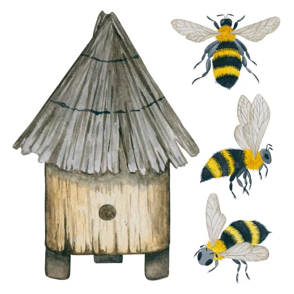 蜂窝和蜂儿在空中手绘水彩画 — 图库照片