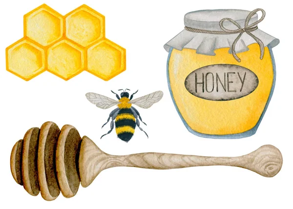蜂蜜和蜜蜂手绘水彩画 — 图库照片