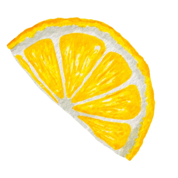 Lemon Slice Watercolor Hand Drawn Illustration Food Pritable Art — Stock Photo, Image