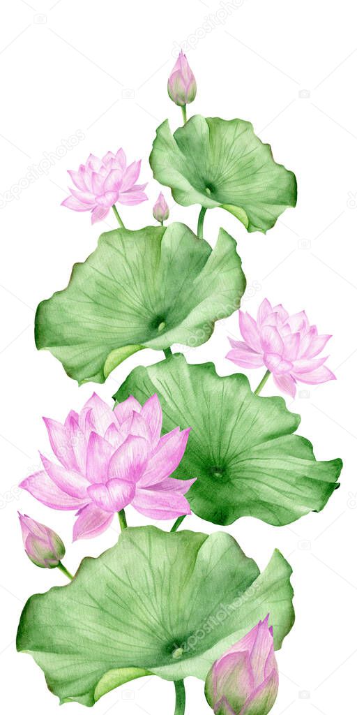 Traditional oriental lotus flowers watercolor printable illustration