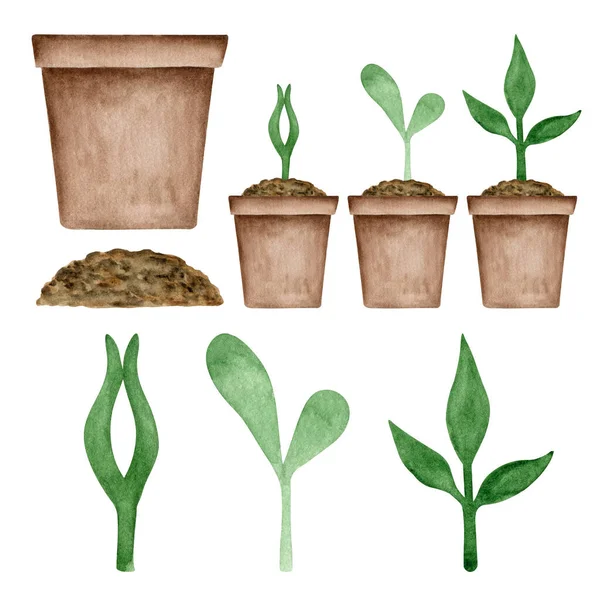 Akwarela Zestaw Elementów Etapów Uprawy Roślin Ilustracja Rysowana Ręcznie Ogrodzie — Zdjęcie stockowe