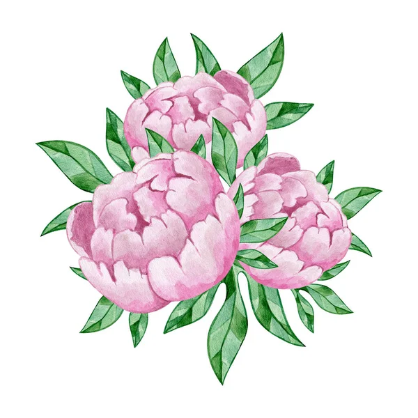 Bouquet Watercolor Tender Pink Peonies Leaves Spring Romantic Illustration — Fotografia de Stock