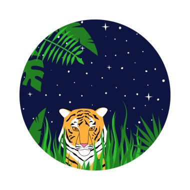 Kaplan gece çimenlerde saklandı.